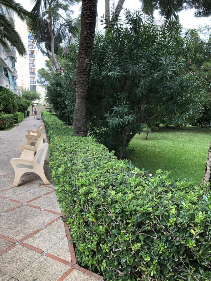 Apartamento Parque 2 Playa De Gandia 외부 사진